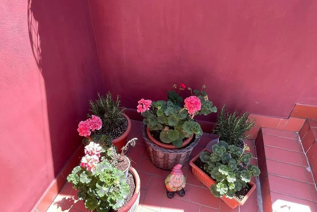 Tuate Rooftop Bologna